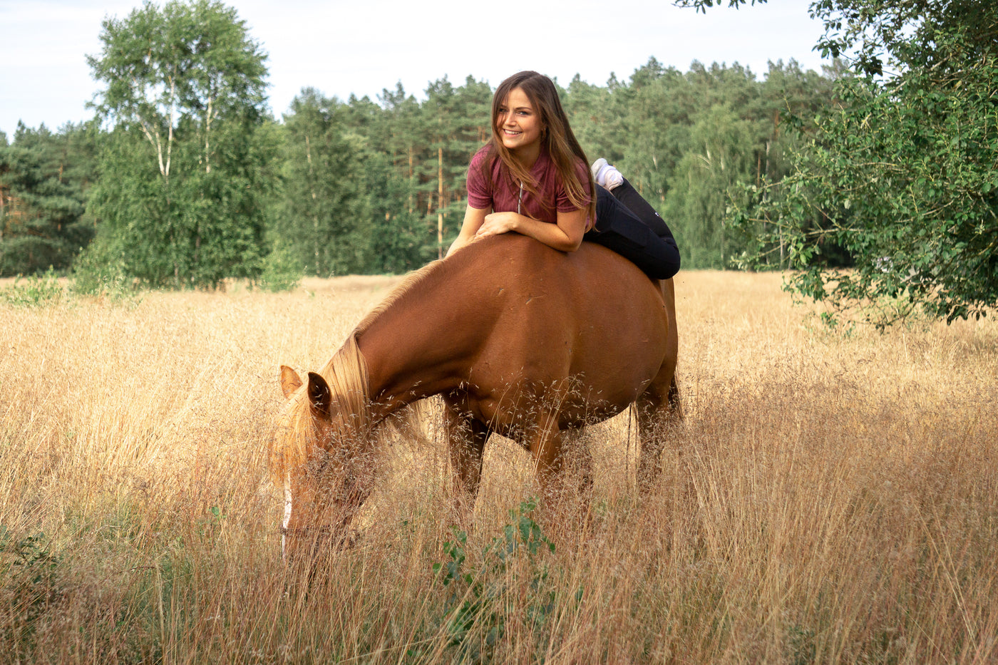 Artgerechte Pferdehaltung: Die natürlichen Bedürfnisse deines Pferdes