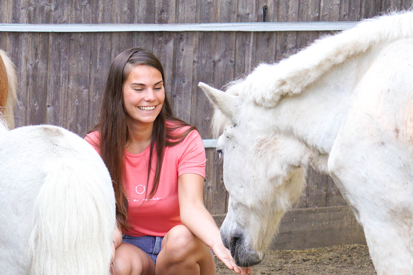 Pferde in Not - Wir unterstützen die Tierschutz-Organisation „4 Hufe im Glück e.V.“
