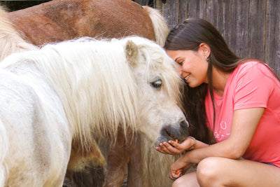 Horse Rescue - How you can help horses in need